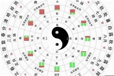 八字日元意思|八字日元是什么意思？认识你的命格核心！